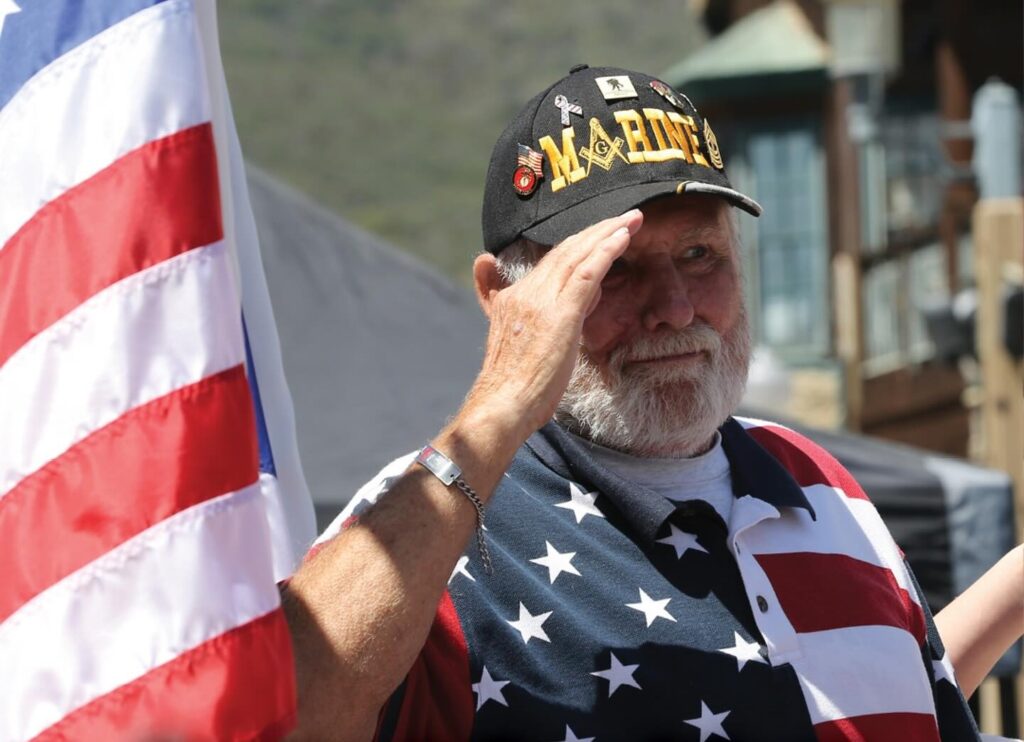 Veterans Day Salute