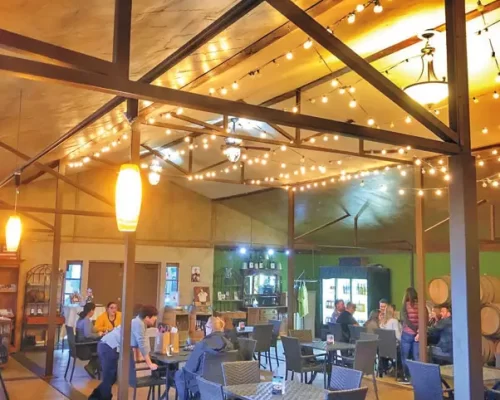 Destination-Temecula-Wine-Tours-&-Experiences-Winery Tour