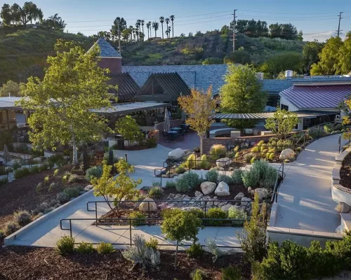 Leoness-Winery