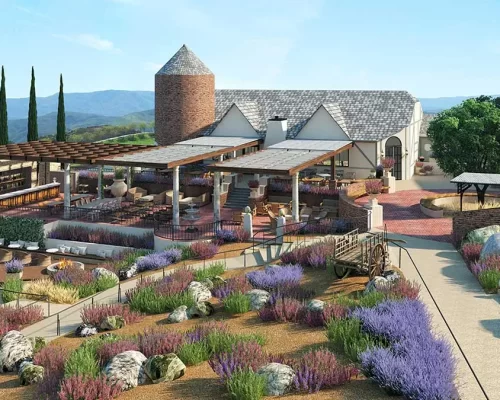 Temecula Valley Winery Management Leoness Winery Temecula